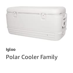 Igloo