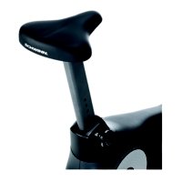 Schwinn Seat