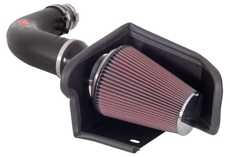 2010 Harley Davidson F150 Fuel Filter