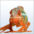 Reptile and amphibian supplies