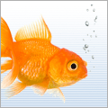Fish and aquatic pet supplies