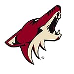 Phoenix Coyotes