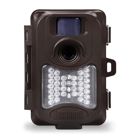 Amazon.com : Bushnell X-8 6MP Trail Camera with Night Vision and Field