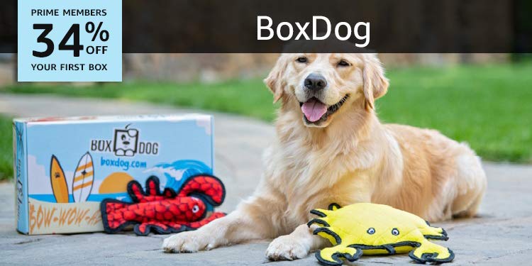 Box Dog Monthly