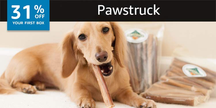Pet Subscription Boxes For Dogs And Cats Amazon Subscription Boxes