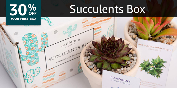 Succulent Subscription Boxes