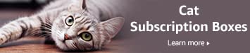 Cat Subscription Boxes