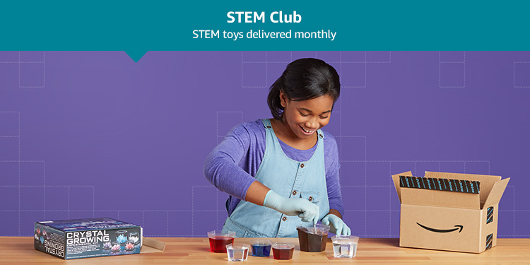 STEM Club: STEM toys delivered monthly