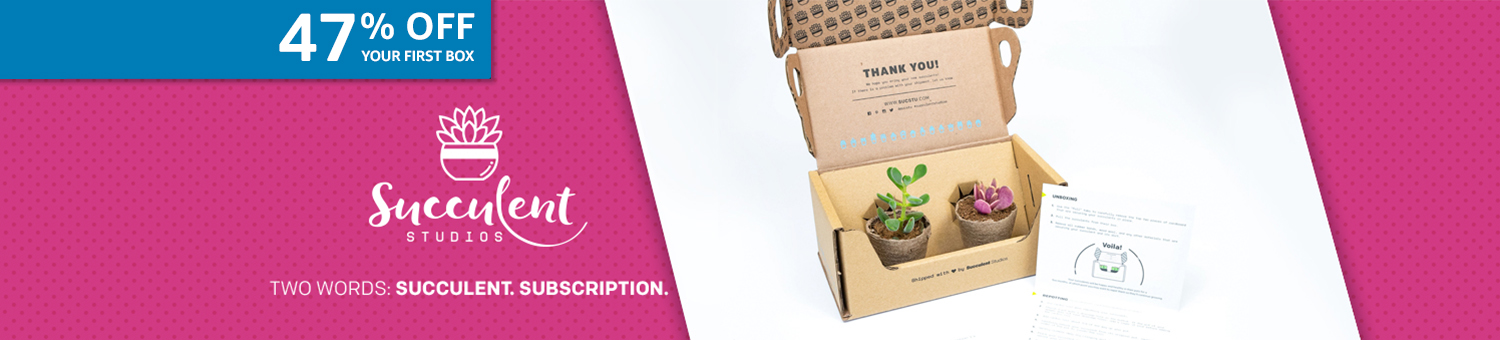 Succulent Studios