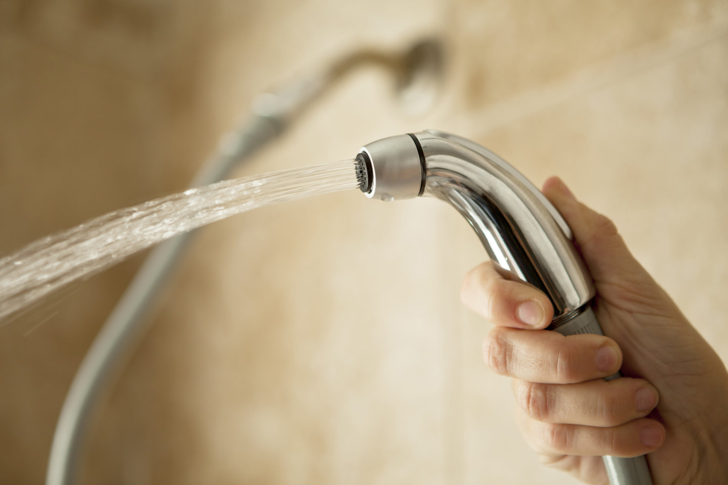 Danco 10074 Shower Blaster Shower Cleaning System, Chrome/Gray Shower