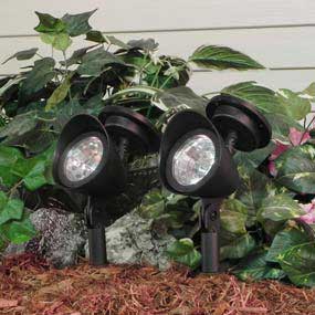 Paradise two-piece solar-powered LED floodlights