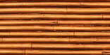 Bamboo, Bronzed