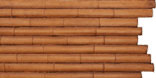 Large Bamboo, Bronzed