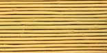 Bamboo, Young