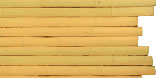 Large Bamboo, Young