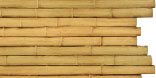 Large Bamboo, Weathered