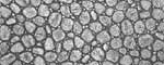 Riverstone Gray