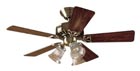 Beacon Hill Ceiling Fan 42-Inch Antique Brass with Rosewood Blades