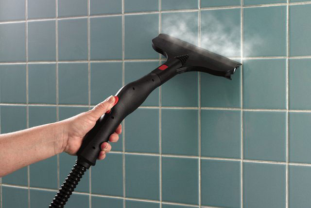 Wagner 905 1,500Watt OnDemand Power Steamer and Cleaner