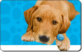 Dog wearing Puppy Tweets