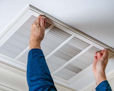 Breathe easy, filter allergens