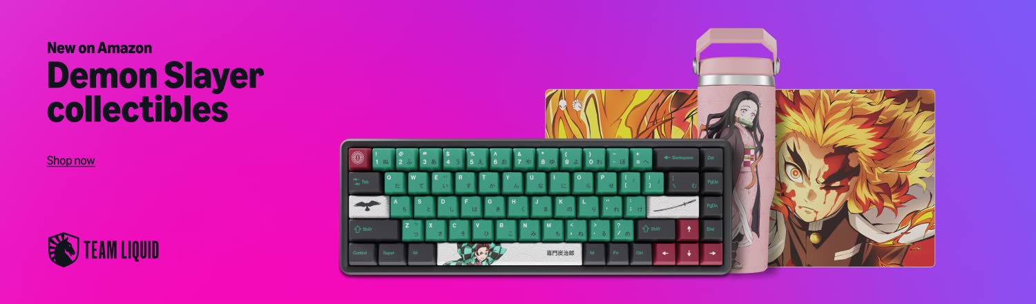 Demon Slayer collectibles