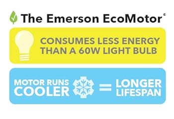 Insert Alt Text here