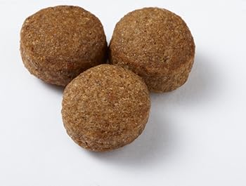 Insert Alt Text here