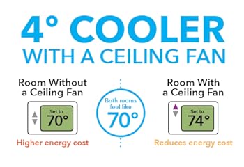 Insert Alt Text here