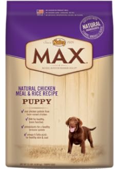 Insert Alt Text here