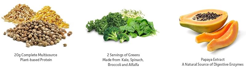 Insert Alt Text here