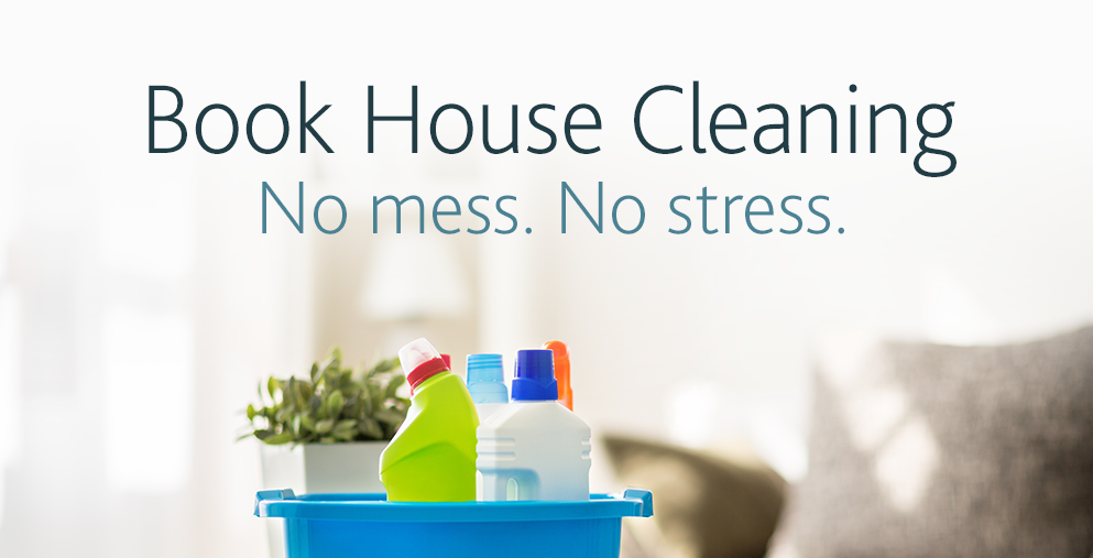 Book House Cleaning on Amazon