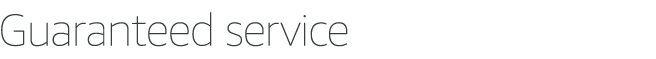 Guaranteed%20service