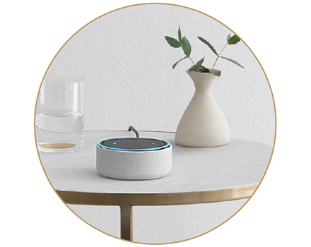 Echo Dot