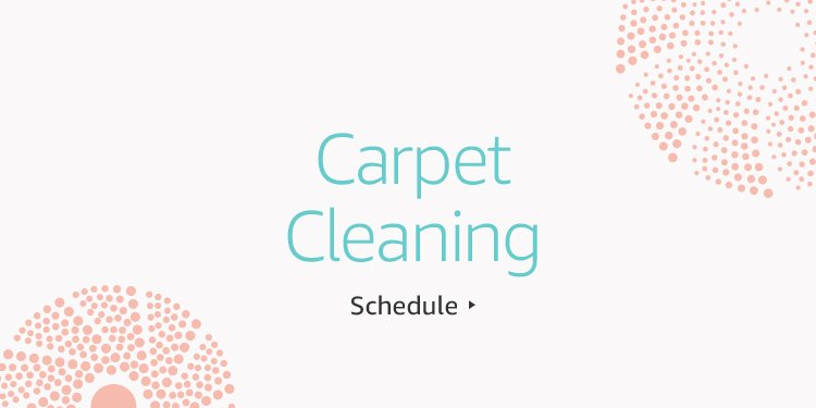 Schedule Carpet Cleaning