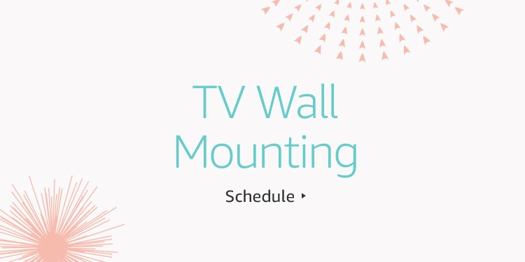 Schedule TV Wall Mounting
