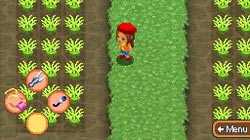 Grow food in 'Harvest Moon: Island of Happiness'