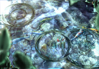 Produce exciting on-screen effects