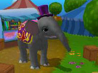 Elephant costumes in Ringling Bros. and Barnum & Bailey Circus Friends: Asian Elephants