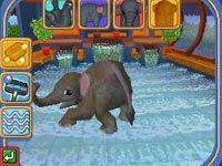 Giving your elephant a bath in Ringling Bros. and Barnum & Bailey Circus Friends: Asian Elephants