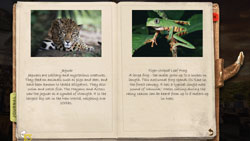 Wildlife images from in-game photo journal in Nat Geo Adventure: Lost City of Z