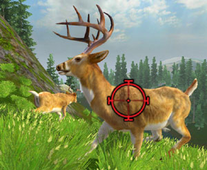 Stationary buck targeted close-up in Cabela's Monster Buck Hunter