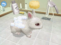 Giving your bunny a good cleaning in Petz Bunnyz Bunch