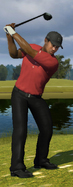Take a swing
