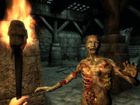 A first-person combat screen from The Elder Scrolls IV: Oblivion 5th Anniversary Edition
