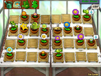 Relax in your Zen Garden