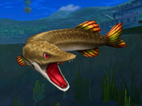 A northern pike showing how tough he is in Rapala: We Fish Rod Bundle