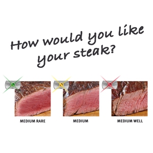 Amazon.com: SteakChamp The Ultimate Steak Thermometer, 3 