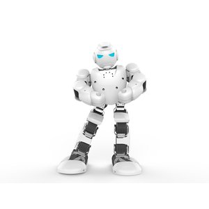 alpha 2 robot amazon