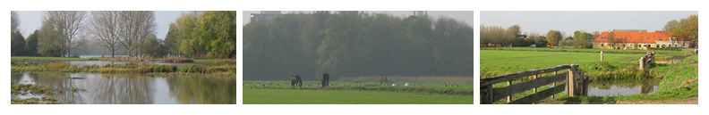 Farm